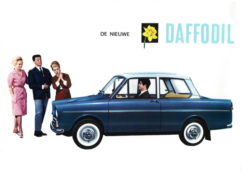 Daffodil (Daf 31) folder illustratie